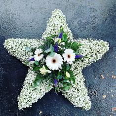 Gyp Star
