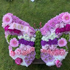 Butterfly Tribute