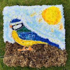 BLUE TIT TRIBUTE 
