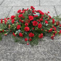 Red carnation spray 