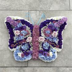 Pretty butterfly 